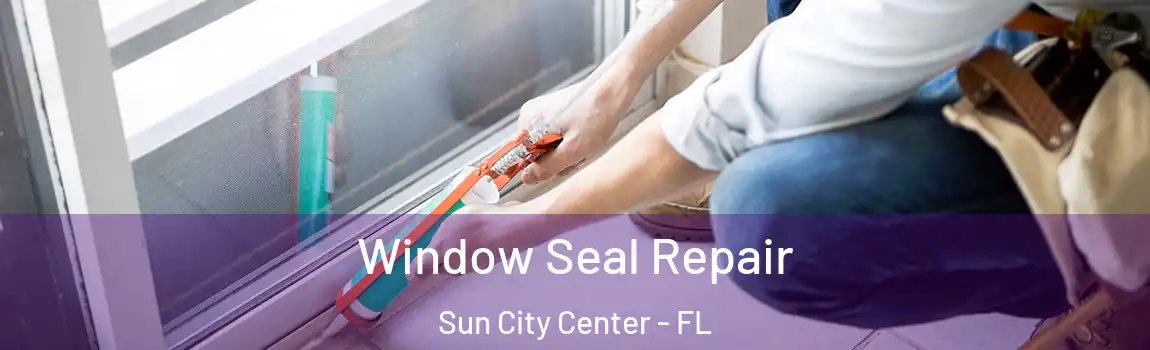 Window Seal Repair Sun City Center - FL